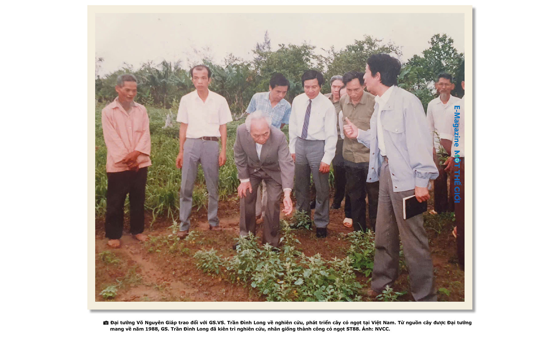 tran-dinh-long-10-2026-ky-1_10.jpg