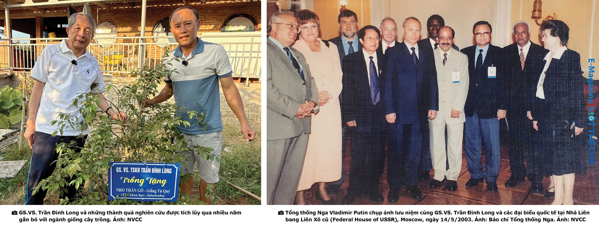 tran-dinh-long-10-2026-ky-1_12.jpg