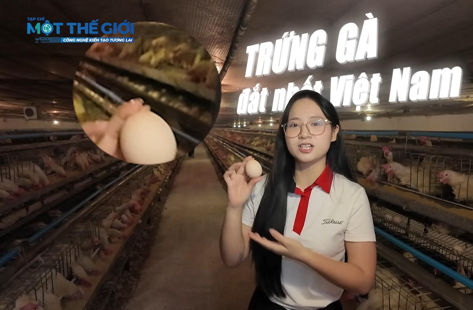 Khám phá công nghệ tạo ra quả trứng gà 'premium' có lượng cholesterol chỉ bằng 1/3 trứng thông thường 