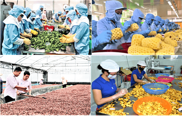 Đồng Nai đẩy mạnh chế biến nâng tầm giá trị nông sản. Ảnh: Trang Nguyên