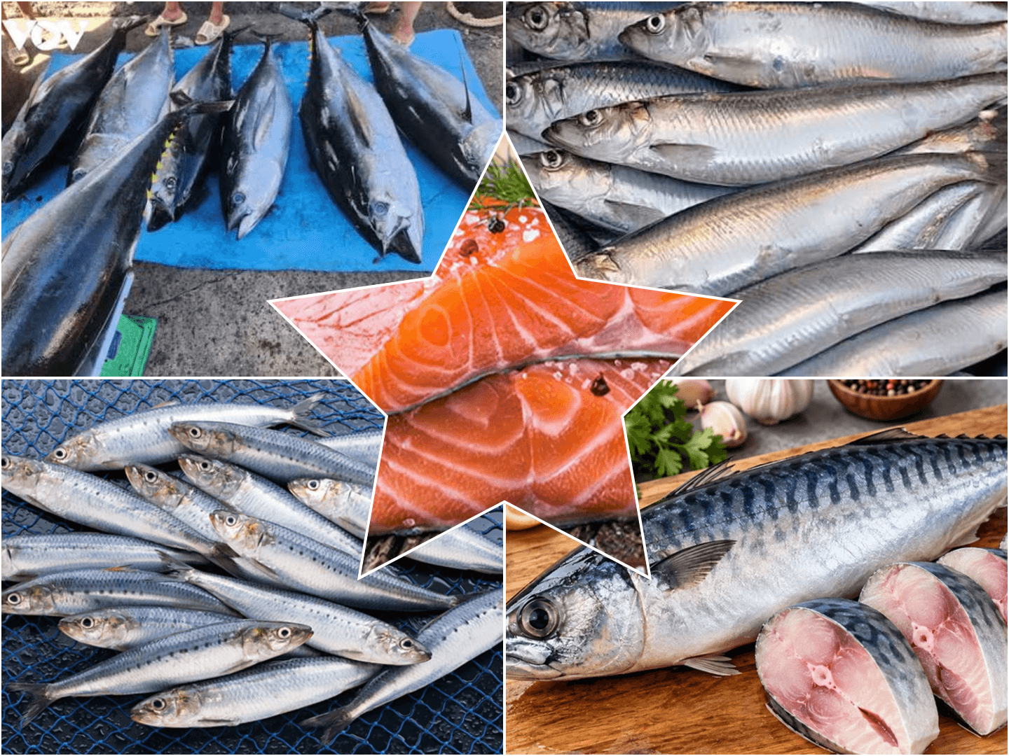 Những loại cá phổ biến giàu omega-3, nên ăn loại nào? 