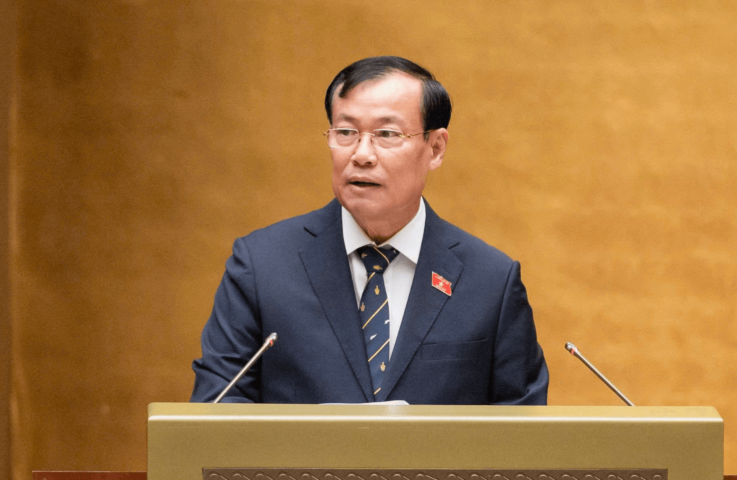 Chủ nhiệm Ủy ban Quốc phòng, An ninh và Đối ngoại, Thượng tướng Lê Tấn Tới trình bày Báo cáo thẩm tra về dự án