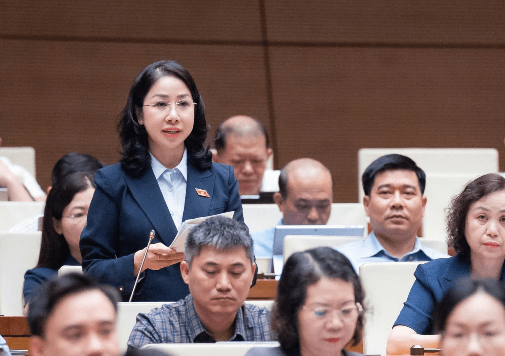 đại biểu đặng thị thuỳ linh