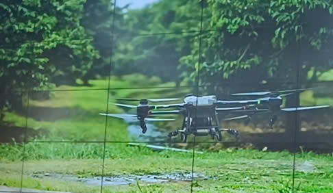 Nông nghiệp thông minh: Drone hỗ trợ, kết hợp thủ công nâng giá trị trái cây