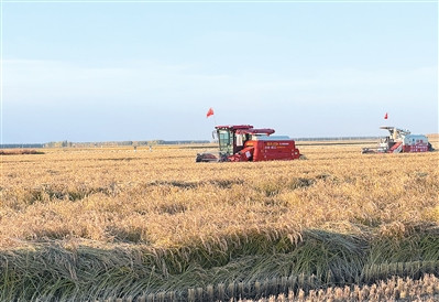 Máy gặt không người lái chạy theo lộ trình lập sẵn