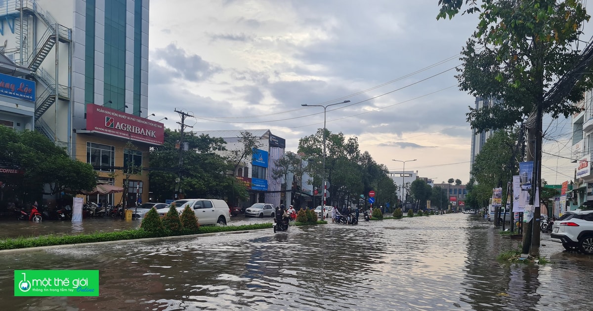 Báo động đỏ biến đổi khí hậu trong phát triển đô thị ĐBSCL