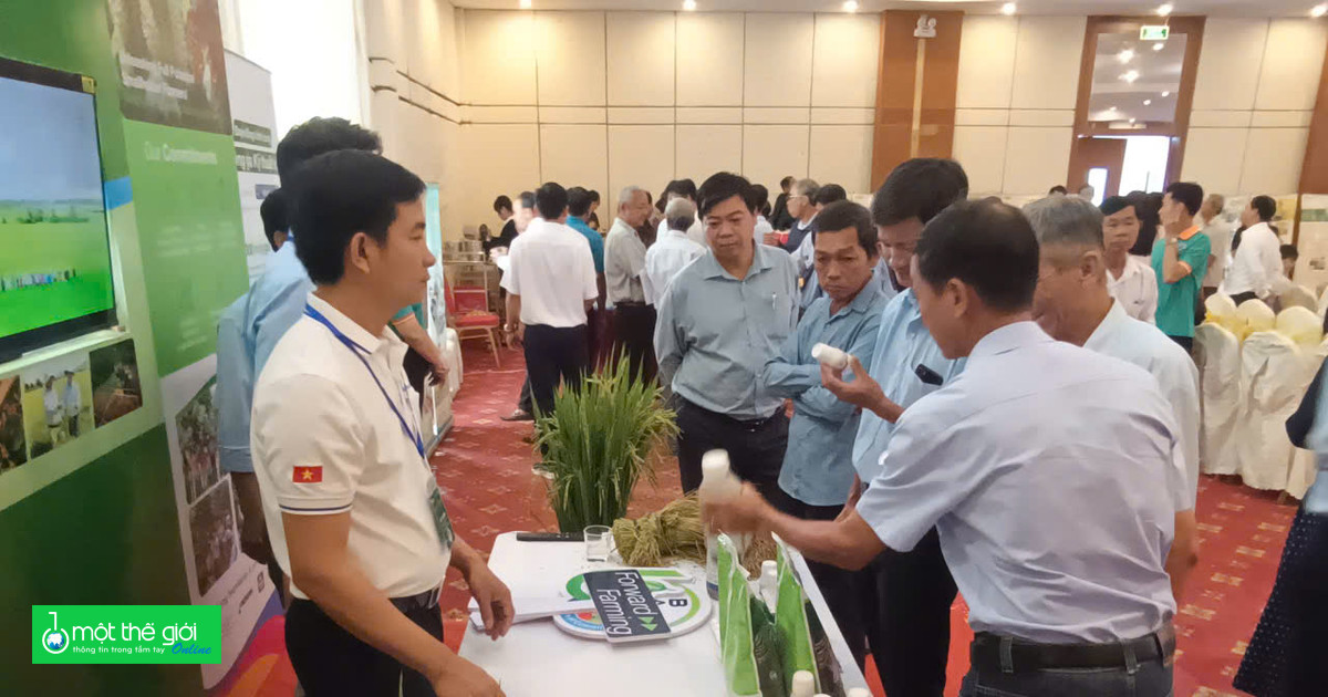 Đề án 06 ở Cần Thơ: Thành tựu khoa học công nghệ và thách thức đặt ra