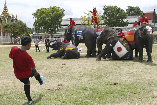Thái Lan ra mắt trung tâm chống cá cược World Cup