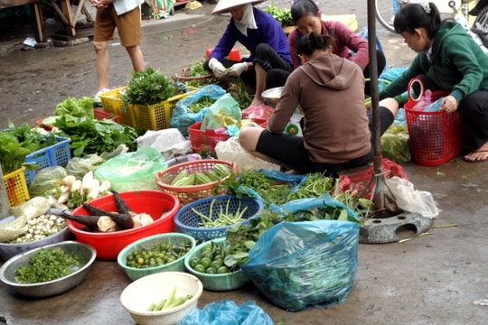 Rau Đà Lạt ngày càng được lòng người Sài Gòn