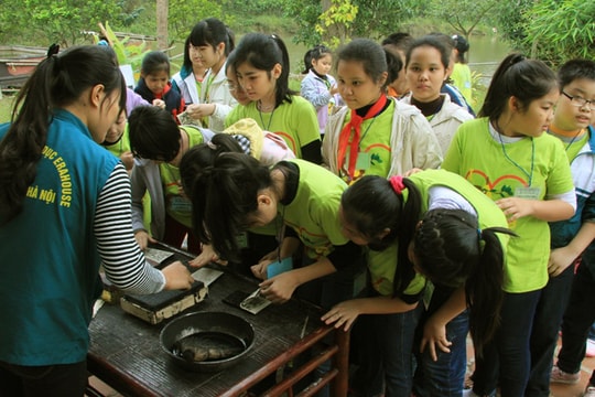 Trang trại giáo dục: Hoạt động ngoại khóa bổ ích cho trẻ