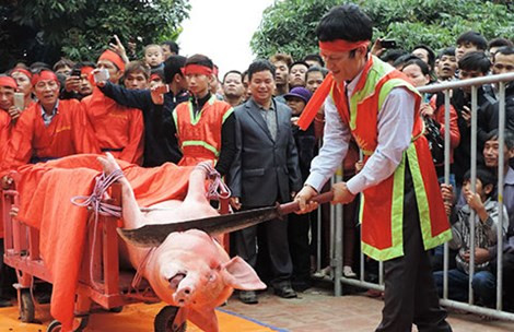 Lễ hội chém lợn: Không phải “hủ tục” nên không thể hủy bỏ
