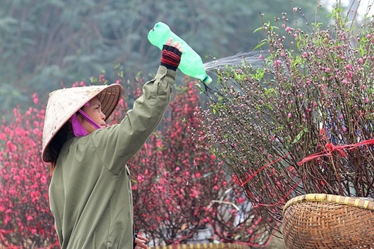 Hà Nội yên bình đón Xuân sang 