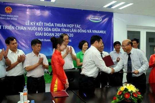 Vinamilk và tỉnh Lâm Đồng hợp tác phát triển chăn nuôi bò sữa