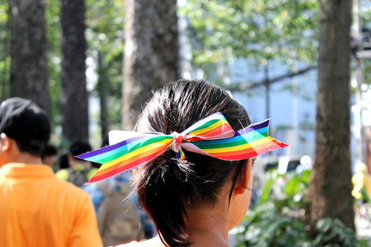 Tọa đàm về quyền LGBT do ĐSQ Ireland tổ chức tại Hà Nội