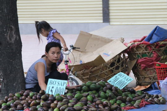 Bơ Việt đổ đống đầy đường, bơ Mỹ 400.000 đồng “hút” người mua
