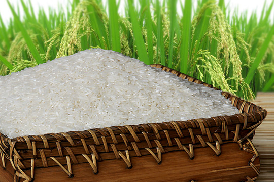 Việt Nam trúng thầu xuất khẩu 450.000 tấn gạo sang Philippines