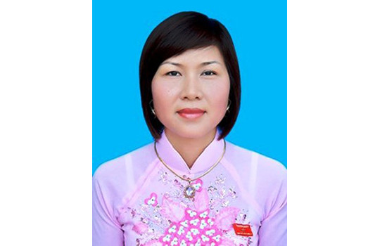 Thái Bình: Nữ tỉ phú 8x 'tiêu biểu' bị tạm đình chỉ chức danh đại biểu HĐND tỉnh
