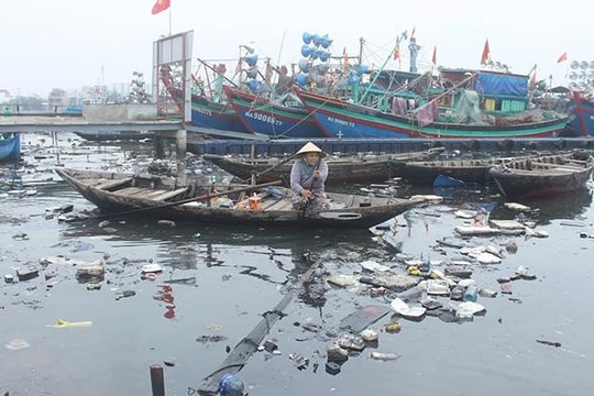 Cảng cá ngập ngụa rác, bốc mùi thum thủm giữa lòng Đà Nẵng