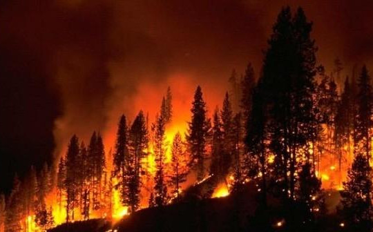  Thủ tướng chỉ đạo quyết liệt trước cảnh báo cháy rừng cấp độ cao