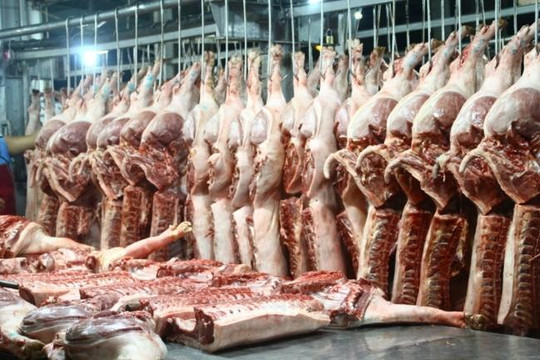 Lợn tăng giá do Trung Quốc thu mua, gà giảm giá do hàng nhập khẩu