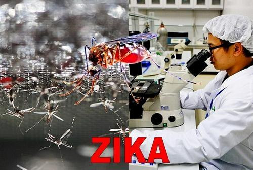 Cập nhật cách tiêu diệt loài muỗi lây truyền virus Zika mới nhất