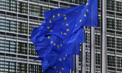 Nhật Bản chống lại yêu cầu công khai thuế của EU