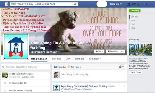 Người bị tố bán chó mèo hoang dã đi trốn và gửi 'tâm thư' trên facebook