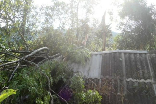 Thừa Thiên-Huế: Lốc xoáy, mưa đá làm hư hại hơn 320 căn nhà