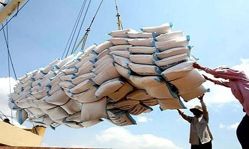 Giá gạo Việt Nam xuất khẩu đột ngột giảm