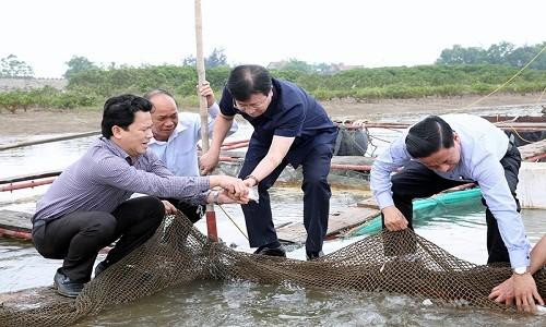 Có thể thuê nước ngoài tìm nguyên nhân cá chết hàng loạt ở Hà Tĩnh