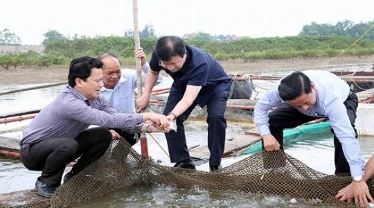 Thủ tướng ra chỉ đạo giải quyết vụ cá chết hàng loạt ở miền Trung