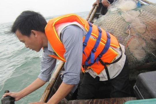 Đã có kết luận cá biển chết ở Thừa Thiên Huế: chất độc trong nước