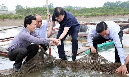 Chính phủ nghiêm cấm tiêu thụ thủy hải sản chết bất thường