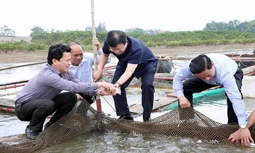 Phó thủ tướng chỉ đạo hỗ trợ người dân bị thiệt hại vì hiện tượng cá chết