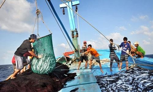 Bộ Công thương công bố đường dây nóng hỗ trợ ngư dân miền Trung