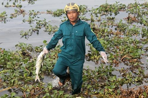 8 tạ cá tầng đáy chết dạt vào biển Thừa Thiên-Huế đợt 3