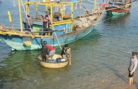Bắt đầu tổng kiểm tra việc xả thải của Formosa