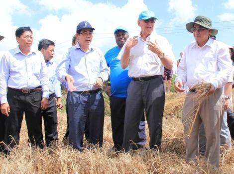 7,34 triệu USD giúp Việt Nam phòng chống hạn mặn