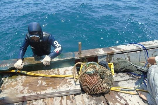 Clip hệ sinh thái đa dạng dưới biển Quảng Bình vì sao biến mất?