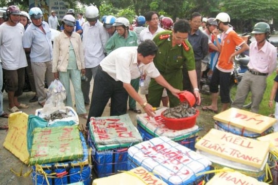 Muốn kiểm soát an toàn thực phẩm thì phải cải cách thể chế