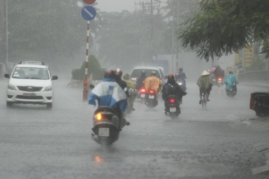 Cơn 'mưa vàng' giải nhiệt đổ xuống Sài Gòn