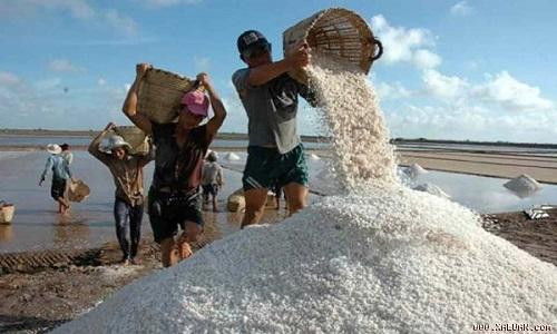 Công bố kết quả chất lượng muối ăn ở vùng biển miền Trung