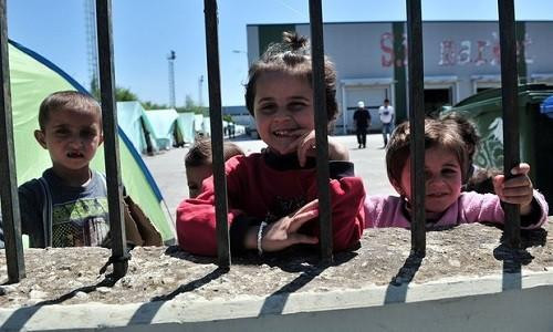 Hy Lạp chuyển người tị nạn đến nơi 'không phù hợp cho cả động vật'