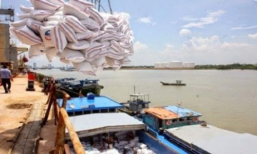 Khó khăn ‘đeo bám’ doanh nghiệp khiến triển vọng xuất khẩu gạo u ám