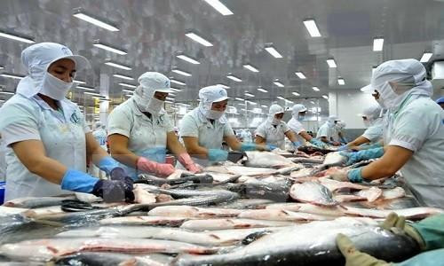 Cá da trơn Việt Nam lại bị cảnh báo tại thị trường Mỹ
