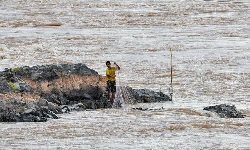 Cá chết hàng loạt trên sông Mekong: Campuchia đổ tại Lào