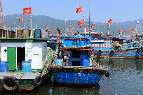 Đà Nẵng thu mua tàu nhỏ nhằm khuyến khích ngư dân không đánh bắt gần bờ