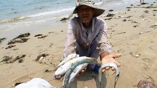 Tăng thời gian hỗ trợ gạo lên 6 tháng cho ngư dân ảnh hưởng vì cá chết