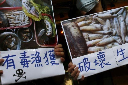 Báo chí nước ngoài nói gì sau khi Việt Nam công bố nguyên nhân cá chết?