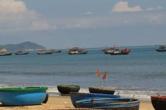 Quảng Bình: Ngư dân Cảnh Dương nêu 7 kiến nghị sau thảm họa cá chết
